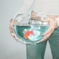 Fish Narc - Frog Song (Vinyl) (US Import)