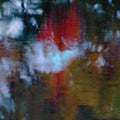 Photay With Carlos NiñO - An Offering (160g) (Vinyl) (US Import)