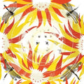 Alabaster Deplume - Come With Fierce Grace (Vinyl) (US Import)