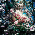 Fennesz / Daniell / Buck - Knoxville (Vinyl) (US Import)
