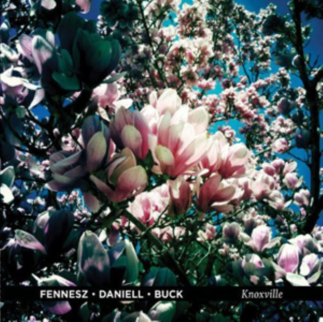 Fennesz / Daniell / Buck - Knoxville (Vinyl) (US Import)