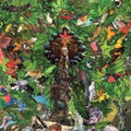 Plankton Wat - Drifter's Temple (Vinyl) (US Import)