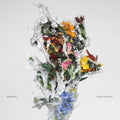 Big Brave - Chaos Of Flowers (Vinyl) (US Import)