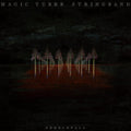 Magic Tuber Stringband - Needlefall (Vinyl) (US Import)