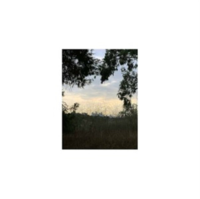 Jon Porras - Arroyo (Crystal Clear Vinyl) (I) (Vinyl) (US Import)