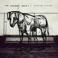 Wonder Years - Sister Cities (CD)
