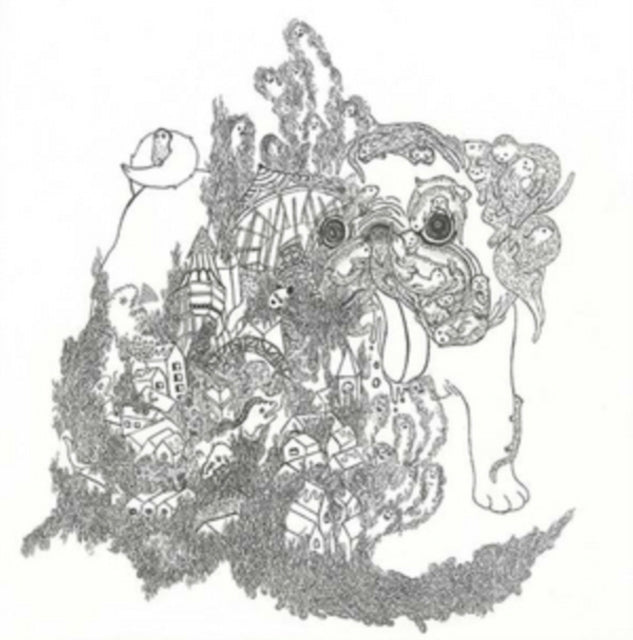 James Blackshaw - Summoning Suns (Vinyl) (US Import)
