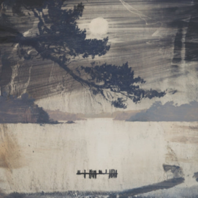 Daithi - L.O.S.S. (Vinyl) (US Import)