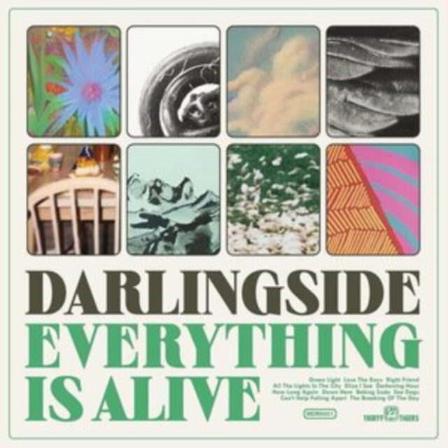 Darlingside - Everything Is Alive (Vinyl) (US Import)