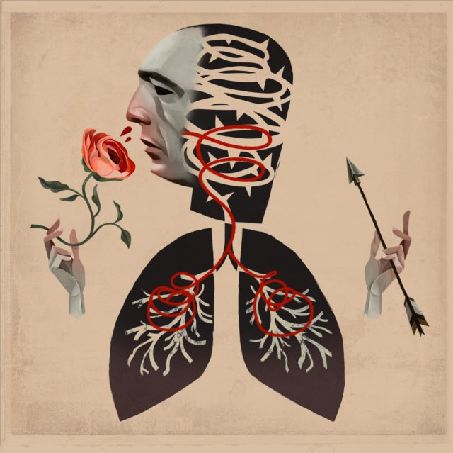 Hot Water Music - Vows (Trans Black Vinyl) (Vinyl) (US Import)