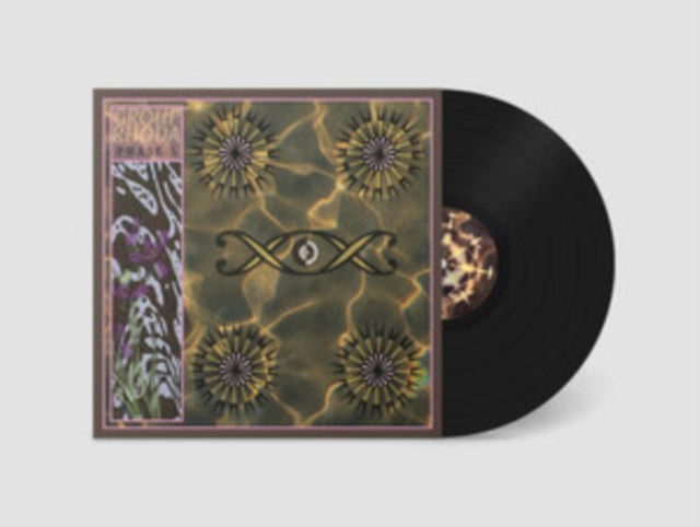 Group Rhoda - Phase 5 (Vinyl) (US Import)