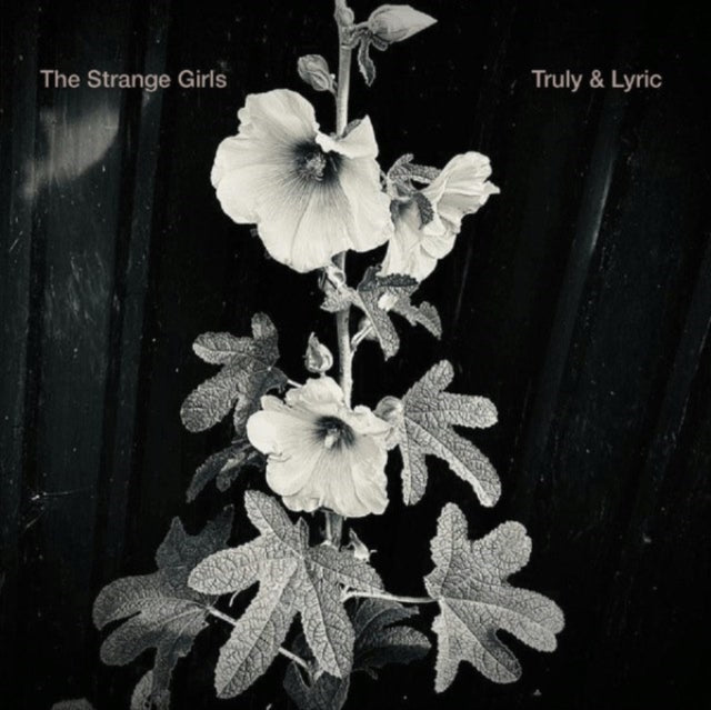 Strange Girls - Truly & Lyric (Vinyl Single) (US Import)