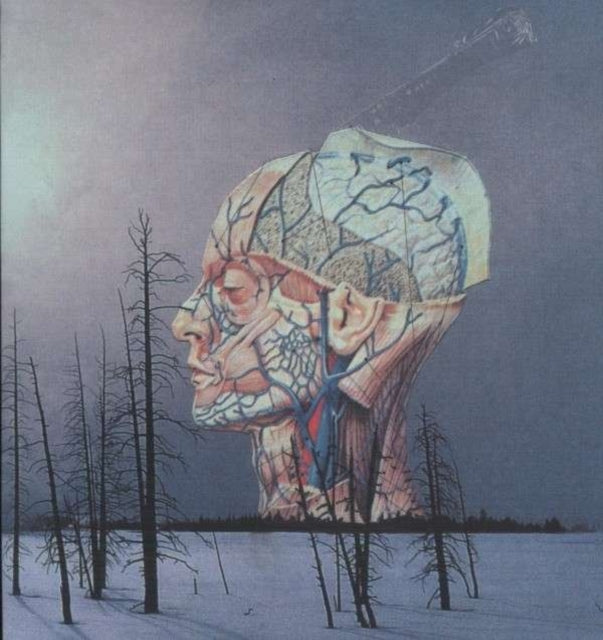 Low - Songs For A Dead Pilot (Vinyl) (US Import)