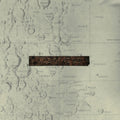 Low - Things We Lost In The Fire (CD)