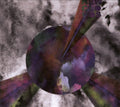 White Rainbow - New Clouds (CD)