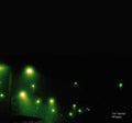 Tim Hecker - Mirages (CD)