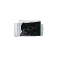 Christopher Bissonnette - Essays In Idleness (Vinyl) (US Import)