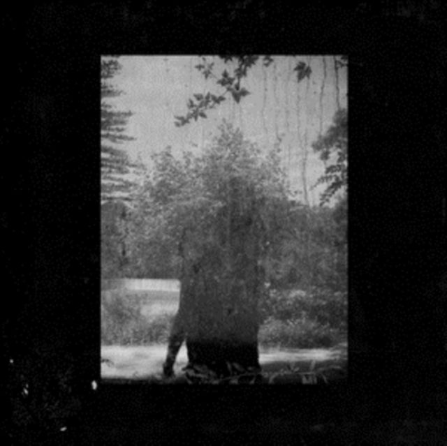 Grouper - Ruins (Vinyl) (US Import)