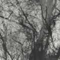Grouper - Way Their Crept (CD)