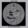 Wailin Storms - Silver Snake Unfolds (Blue & Black Galaxy Vinyl) (Vinyl) (US Import)