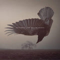 Katatonia - Fall Of Hearts (10th Anniversary/Pearl Dawn Vinyl/2LP) (Vinyl) (US Import)