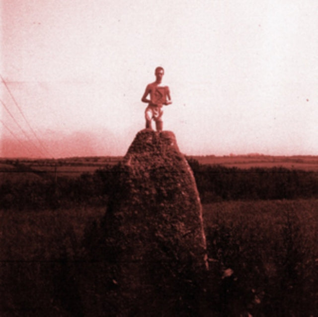 Mount Kimbie - Love What Survives Remixes Part 1 (DL Code) (Vinyl) (US Import)