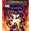 Black Veil Brides - Alive & Burning (DVD) (Region 1 US Import)