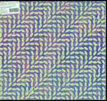Animal Collective - Merriweather Post Pavilion (Vinyl) (US Import)