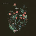 Guy Andrews - Our Spaces (Vinyl) (US Import)