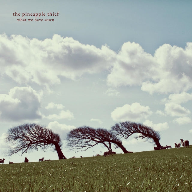 Pineapple Thief - What We Have Sown (Vinyl) (US Import)