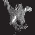 Oceansize - Self Preserved While The Bodies Float Up (2CD) (CD) (US Import)