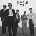Simple Minds - Back In The Motherland (2LP) (Vinyl) (US Import)
