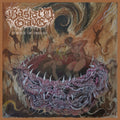 Bastard Grave - Vortex Of Disgust (Vinyl) (US Import)
