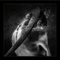 SRD - Smrti Sel (CD)