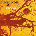 Wishbone Ash - Pilgrimage (180g) (Vinyl) (US Import)