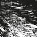 Irreparable - Complete Emptiness (Crystal Clear With Black & White Splatter Vinyl) (Vinyl) (US Import)