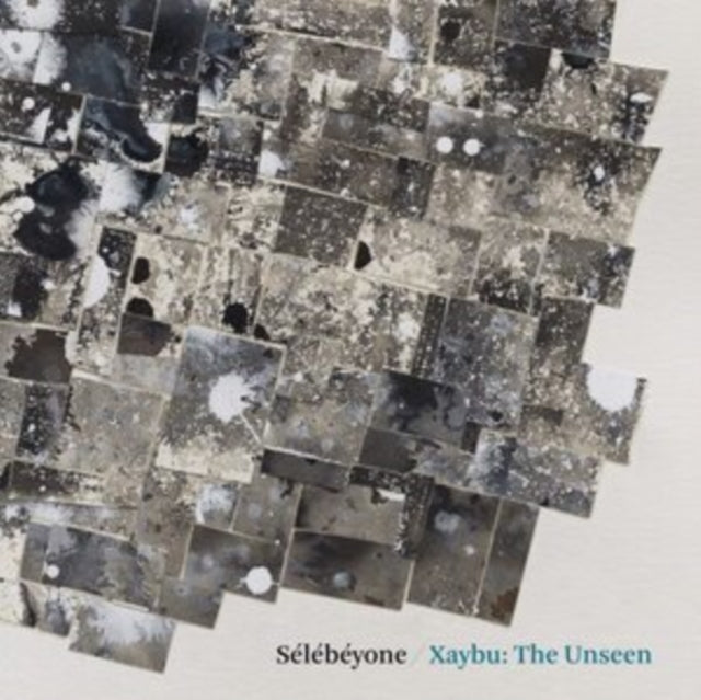 Lehman,Steve & Selebeyone - Xaybu: The Unseen (Vinyl) (US Import)