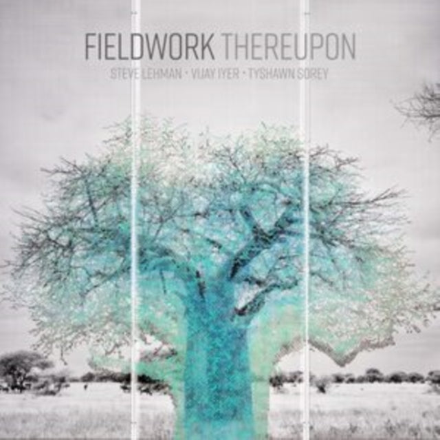 Fieldwork - Thereupon (Vinyl) (US Import)
