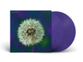 Bevis Frond - Focus On Nature (2LP) (Vinyl) (US Import)