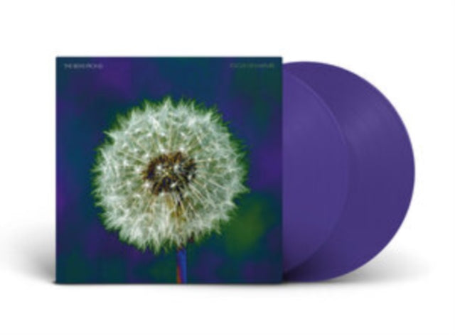 Bevis Frond - Focus On Nature (2LP) (Vinyl) (US Import)
