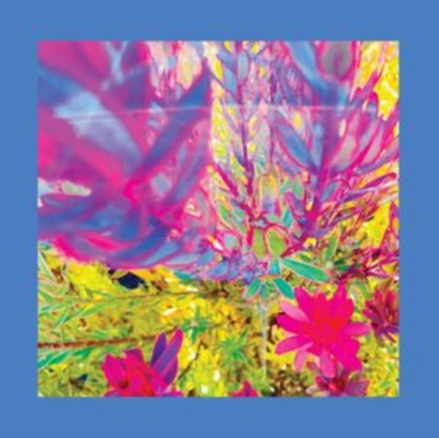 Pinks Reds & Purples - Past Is A Garden I Never Fed (CD)