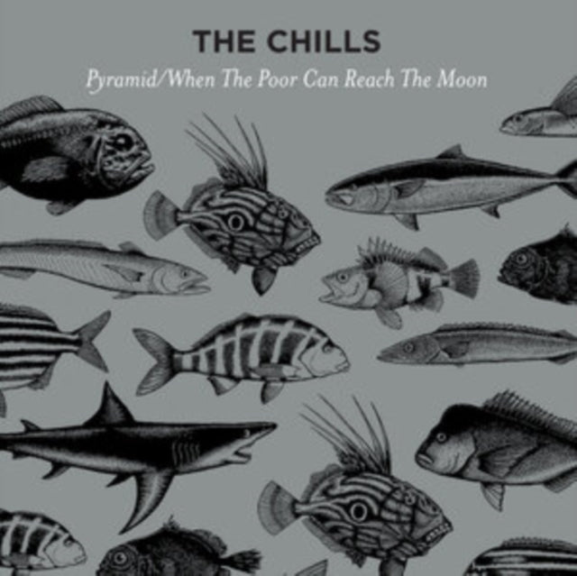 Chills - Pyramid / When The Poor Can Reach The Moon (Vinyl) (US Import)