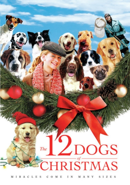 12 Dogs Of Christmas (DVD) (Region 1 US Import)