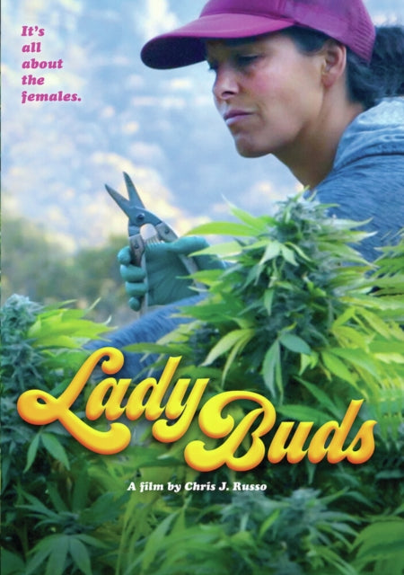 Lady Buds (DVD) (Region 1 US Import)