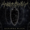 Nechochwen - Kanawha Black (Vinyl) (US Import)