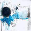 Rocky Votolato - Wild Roots (White Vinyl) (I) (Vinyl) (US Import)