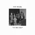 Tony Molina - In The Fade (Vinyl) (US Import)