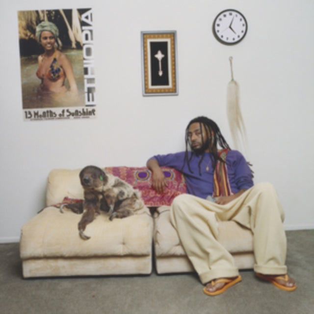 Amine - 13 Months Of Sunshine (Vinyl) (US Import)