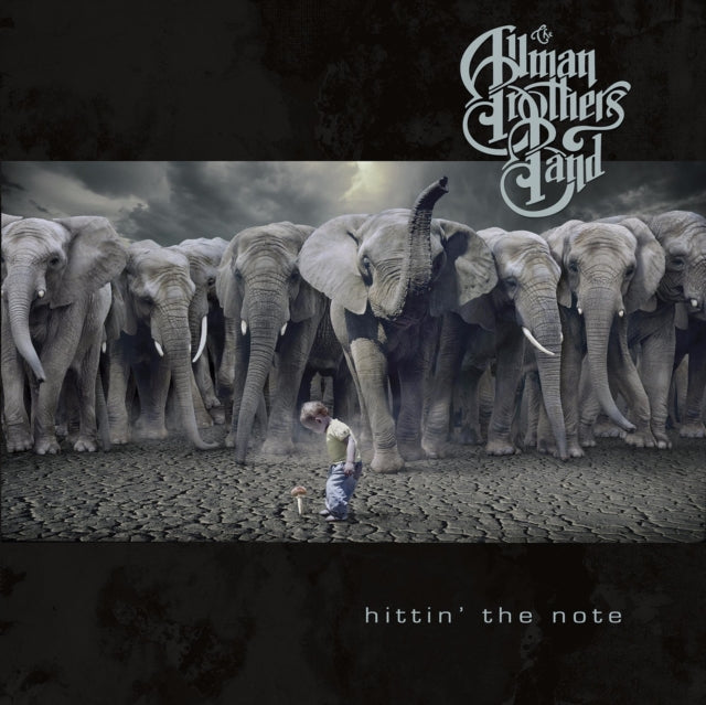 Allman Brothers Band - Hittin The Note (CD) (US Import)