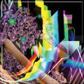 Soulkeeper - Holy Design (Vinyl) (US Import)